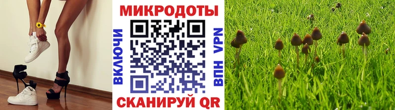 Псилоцибиновые грибы ЛСД  Михайловск 
